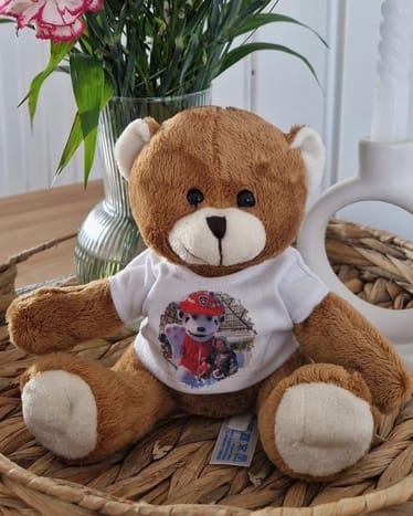 Zdjęcie główne wgrane przez użytkownika