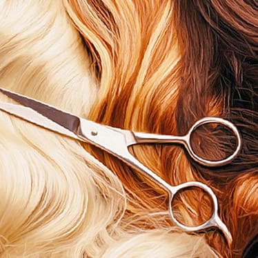 Zdjęcie główne wgrane przez użytkownika