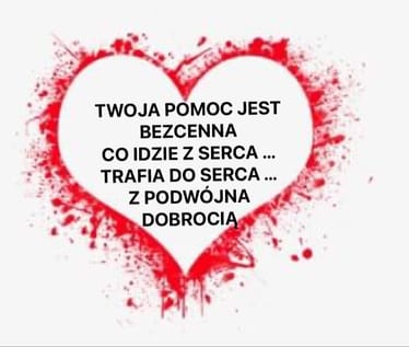 Zdjęcie główne wgrane przez użytkownika