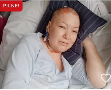 Main photo uploaded by the user