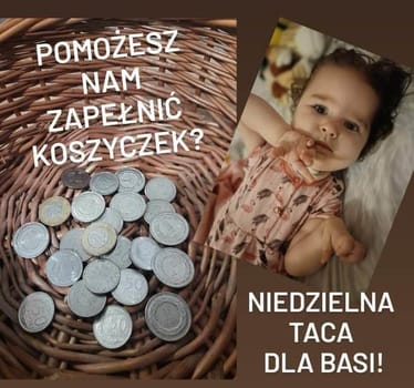 Main photo uploaded by the user