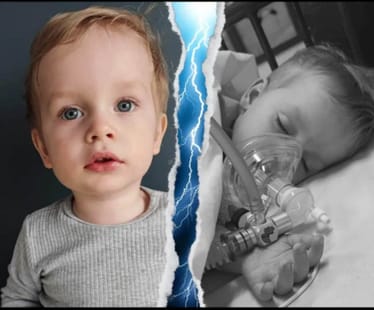 Main photo uploaded by the user