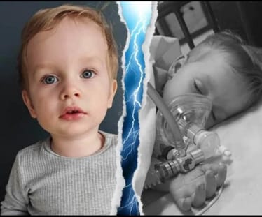 Zdjęcie główne wgrane przez użytkownika