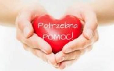 Zdjęcie główne wgrane przez użytkownika