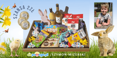 Zdjęcie główne wgrane przez użytkownika