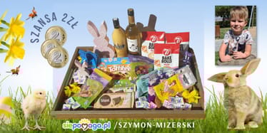 Main photo uploaded by the user