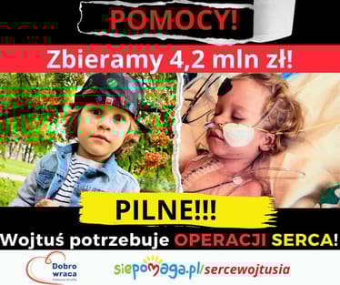 Zdjęcie główne wgrane przez użytkownika