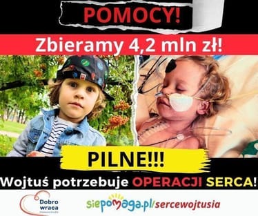 Main photo uploaded by the user