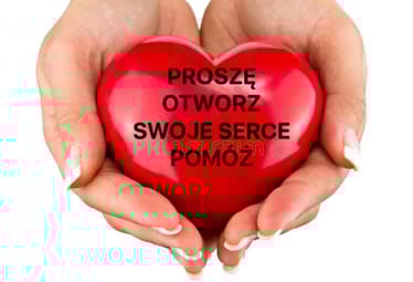 Zdjęcie główne wgrane przez użytkownika