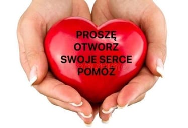 Main photo uploaded by the user