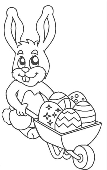 Main photo uploaded by the user