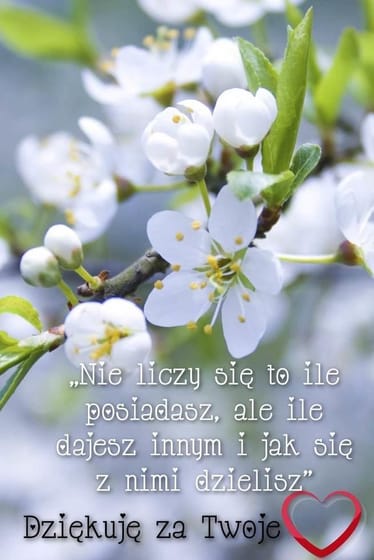 Main photo uploaded by the user