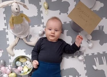 Main photo uploaded by the user