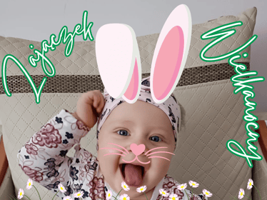 Zdjęcie główne wgrane przez użytkownika