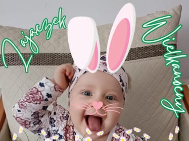 Zdjęcie główne wgrane przez użytkownika