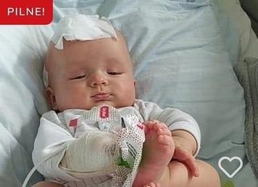 Zdjęcie główne wgrane przez użytkownika