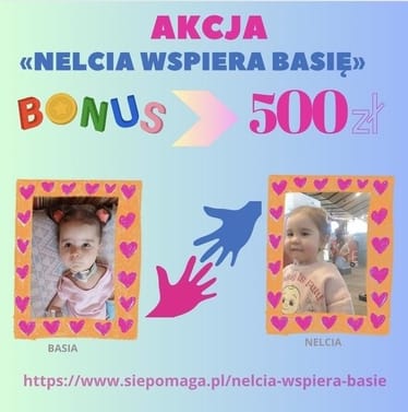 Zdjęcie główne wgrane przez użytkownika