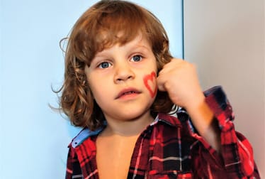 Main photo uploaded by the user