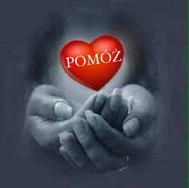 Main photo uploaded by the user