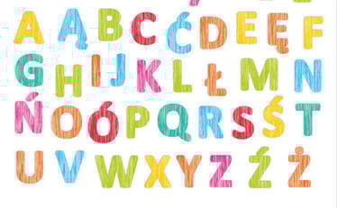 Main photo uploaded by the user