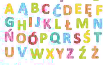 Main photo uploaded by the user