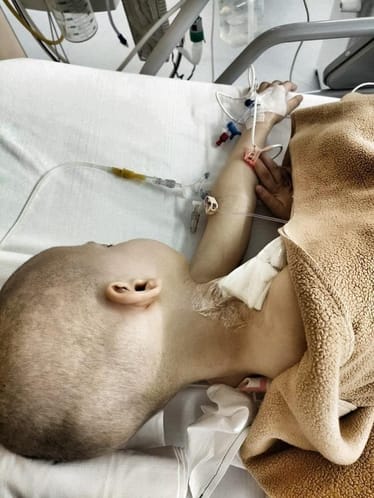 Zdjęcie główne wgrane przez użytkownika