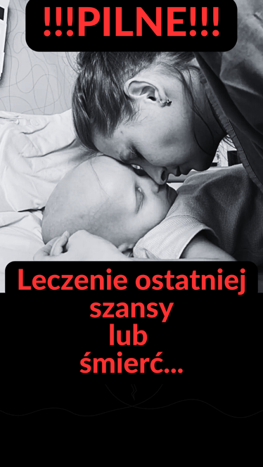 Zdjęcie główne wgrane przez użytkownika