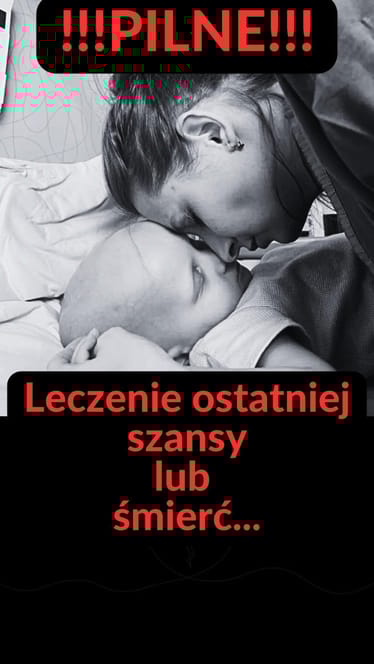 Zdjęcie główne wgrane przez użytkownika