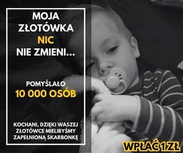 Zdjęcie główne wgrane przez użytkownika