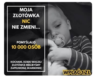 Zdjęcie główne wgrane przez użytkownika