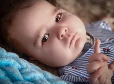 Main photo uploaded by the user