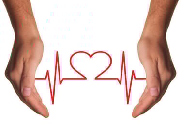 Zdjęcie główne wgrane przez użytkownika