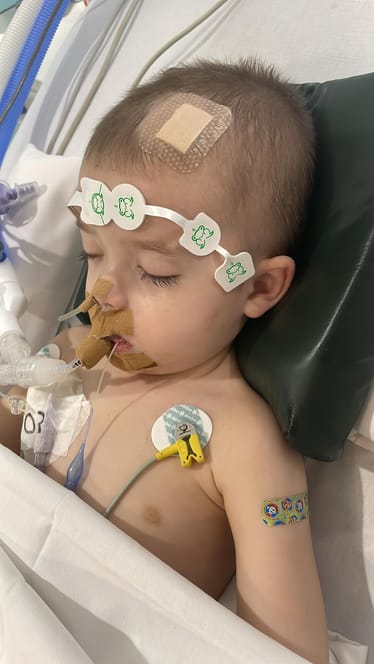 Main photo uploaded by the user