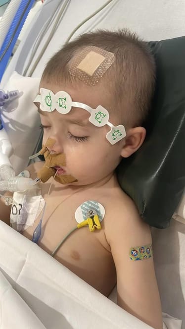 Main photo uploaded by the user