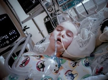 Zdjęcie główne wgrane przez użytkownika