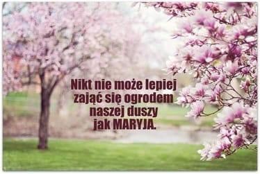 Zdjęcie główne wgrane przez użytkownika