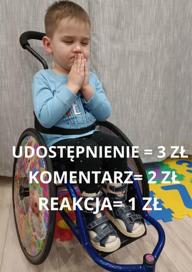 Main photo uploaded by the user