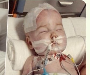 Main photo uploaded by the user