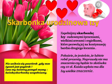 Main photo uploaded by the user