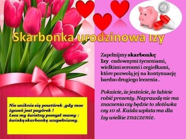 Zdjęcie główne wgrane przez użytkownika