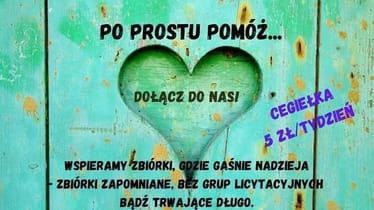 Zdjęcie główne wgrane przez użytkownika