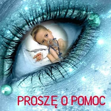 Zdjęcie główne wgrane przez użytkownika