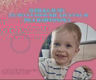 Main photo uploaded by the user