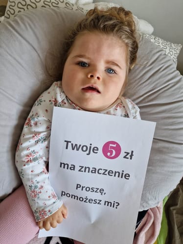 Zdjęcie główne wgrane przez użytkownika
