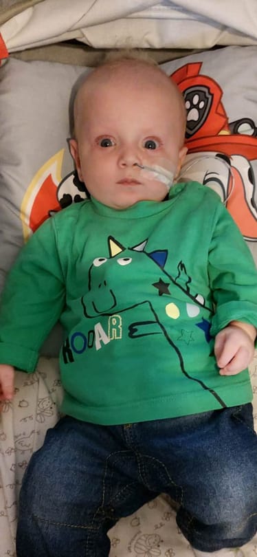 Main photo uploaded by the user