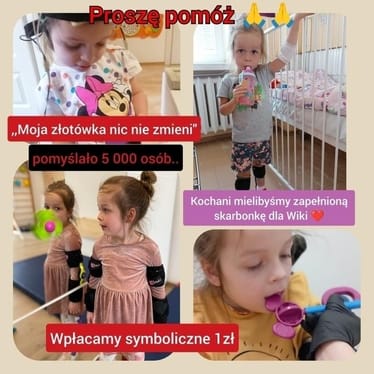 Zdjęcie główne wgrane przez użytkownika