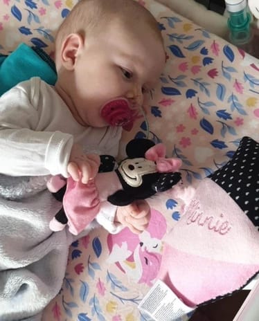 Main photo uploaded by the user