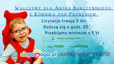 Main photo uploaded by the user