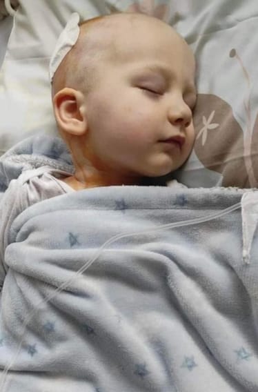 Zdjęcie główne wgrane przez użytkownika