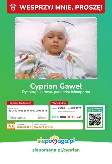 Zdjęcie główne wgrane przez użytkownika